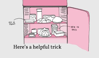 Everything you need to know about storing food in the fridge, animated