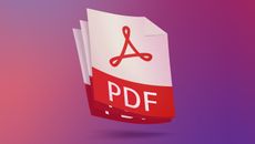 The PDF logo