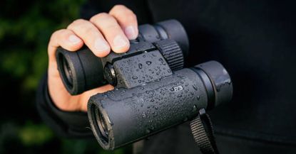 Nikon Prostaff P3 binoculars in hand