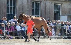 FernhillPresent_Badminton16pn_1518_1.jpg