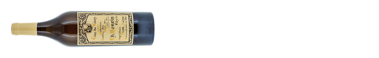 Charles Bonvin, 1858 Assemblage, Valais, Switzerland 2019