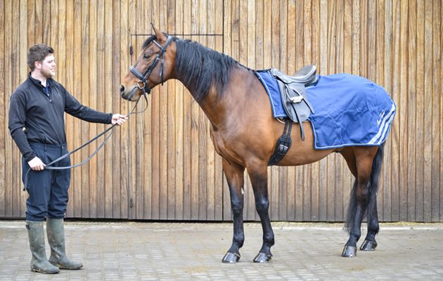 Mark Todd waterproof exercise sheet review