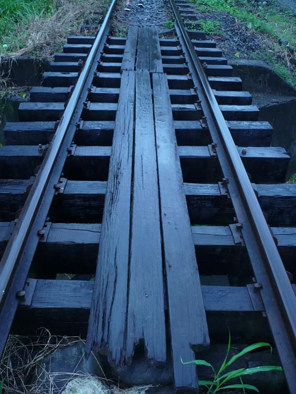 This bridge came with planks for easier walking