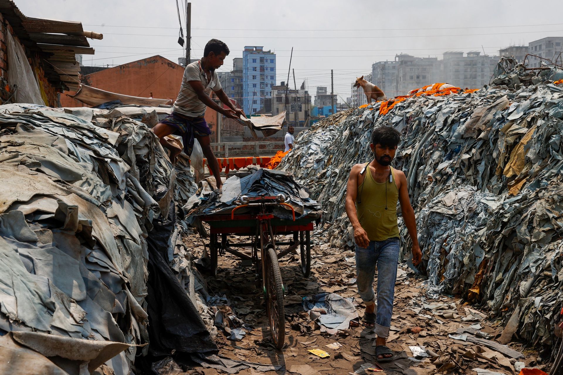 Leather Industry Pollution In Dhaka's Hazaribagh