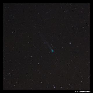 Comet Lovejoy by Ryan Watamura