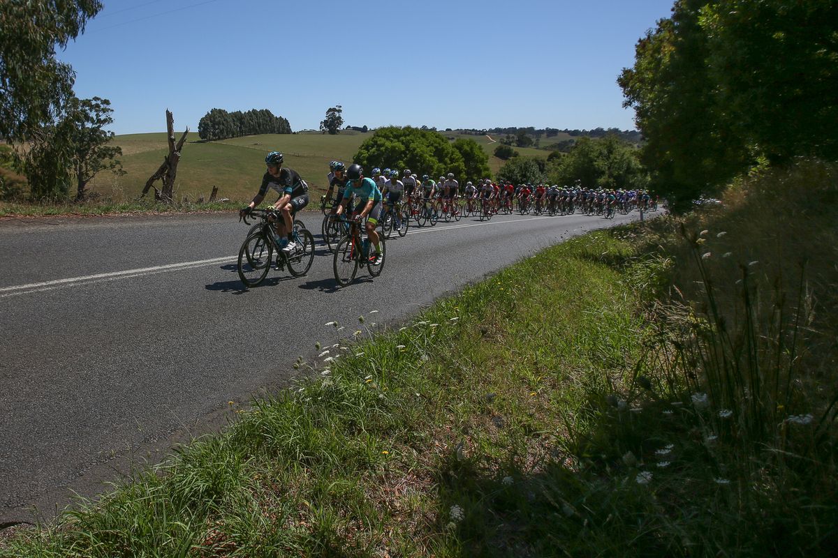 The peloton in action