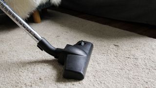 picture of person vacuuming carpet