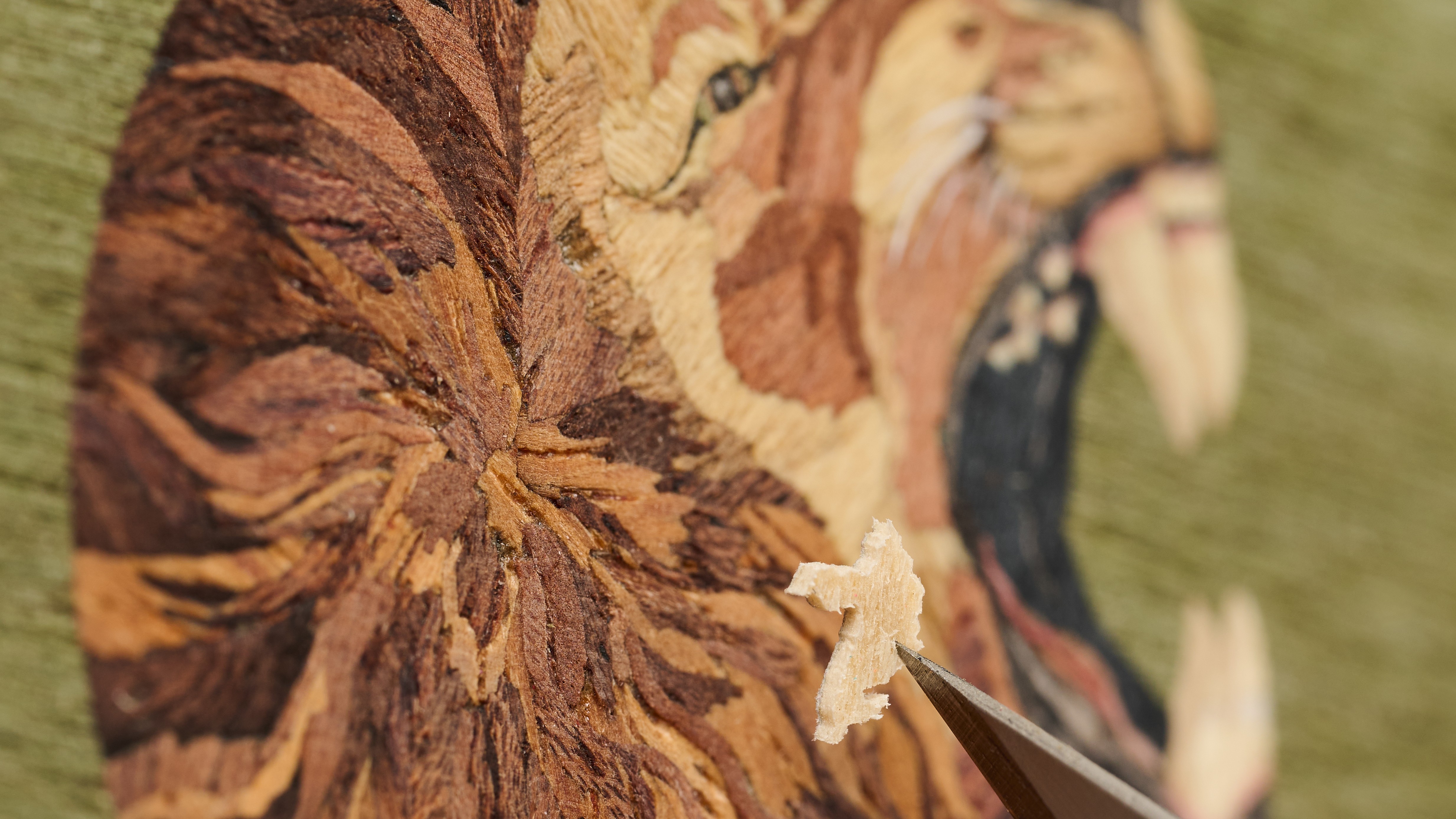 Herm&amp;egrave;s Slim d'Herm&amp;egrave;s Pocket Roaaaaar