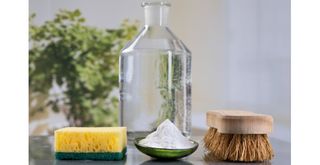 Natural cleaning ingredients including vinegar and bicarbonate of soda to show how to clean outdoor cushions without chemicals