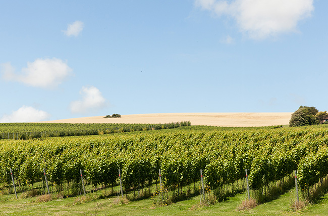 Rathfinny Estate Imperial pint