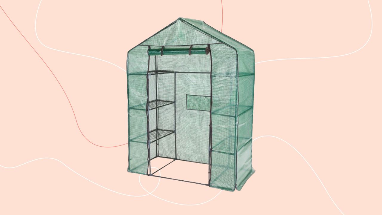 Aldi walk-in greenhouse on pink background