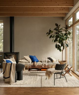 Neutral throws and cushions with added Klein blue cushions on wooden sofa and black modern chairs over shaggy neutral rug with wooden floors and upper beams