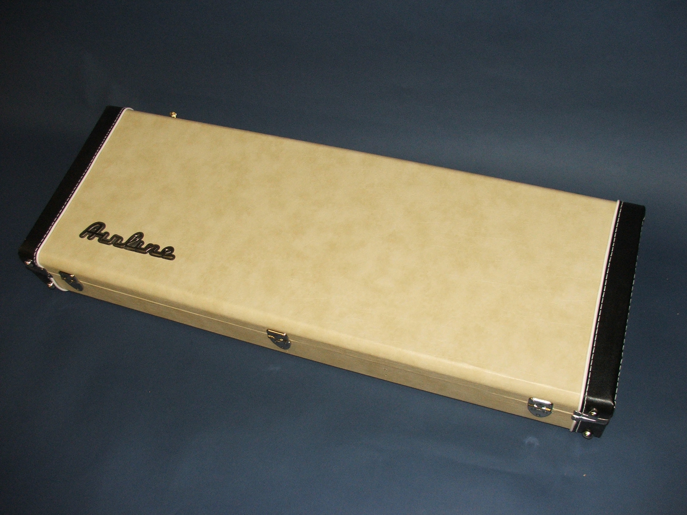 The case
