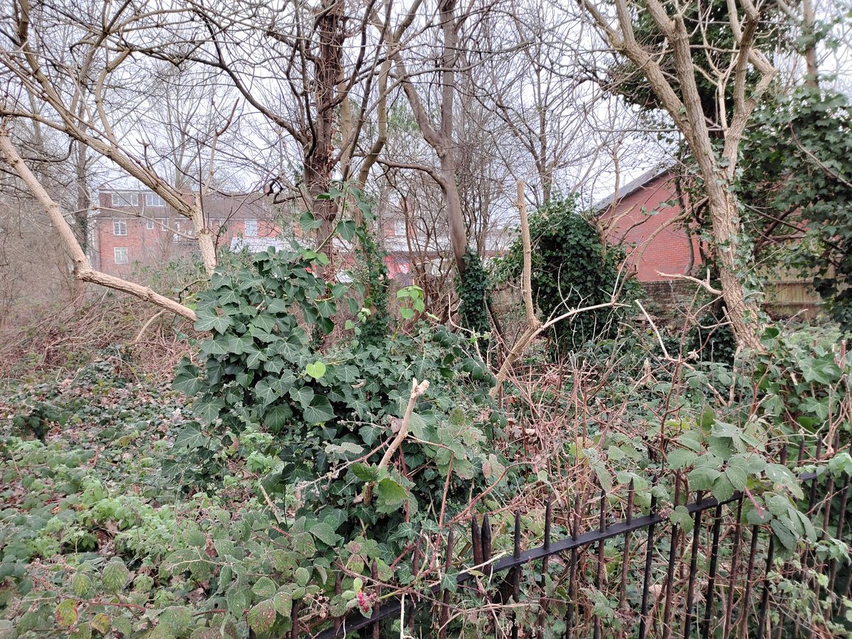 ZTE Axon 20 5G camera samples