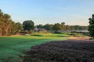 Hankley Common Hole 18