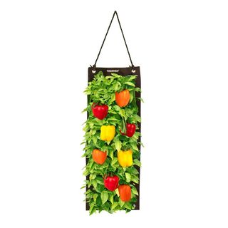 Touch of Eco Touch of Eco Organic Seed Hanging Planter Bag Kit - Sweet Pepper & Reviews | Wayfair