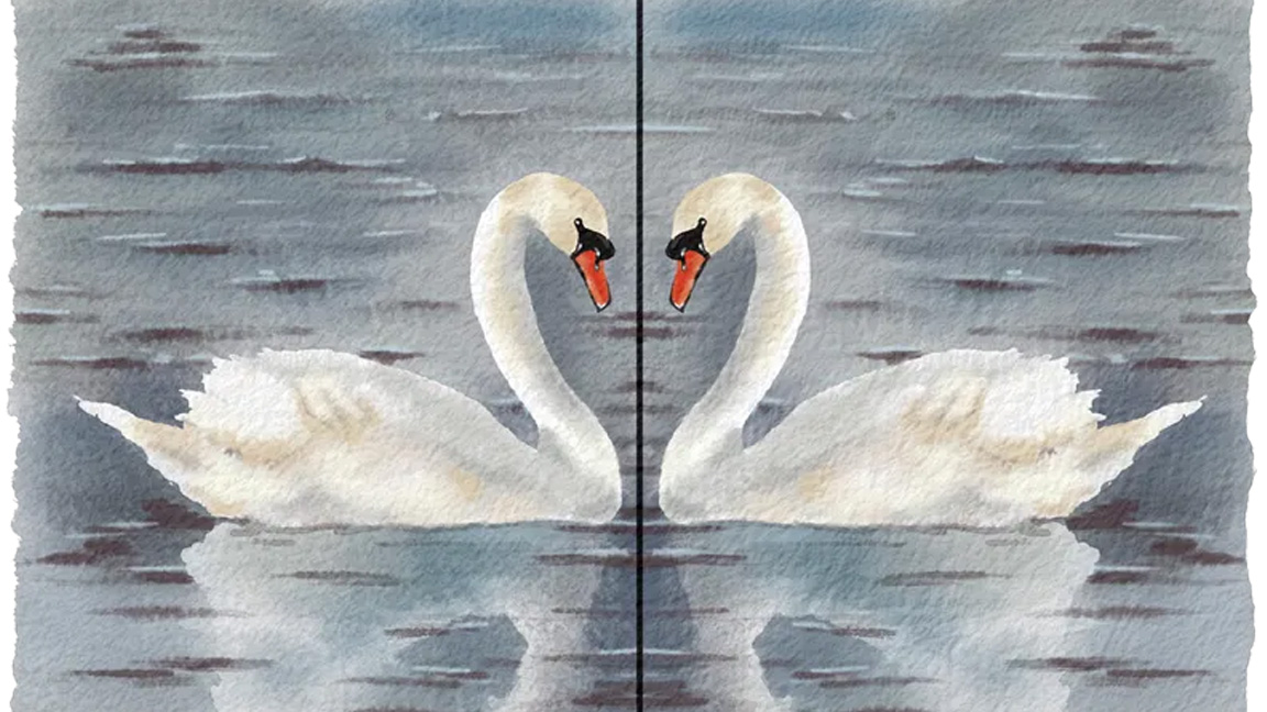 Rebelle 8 symmetrical swans