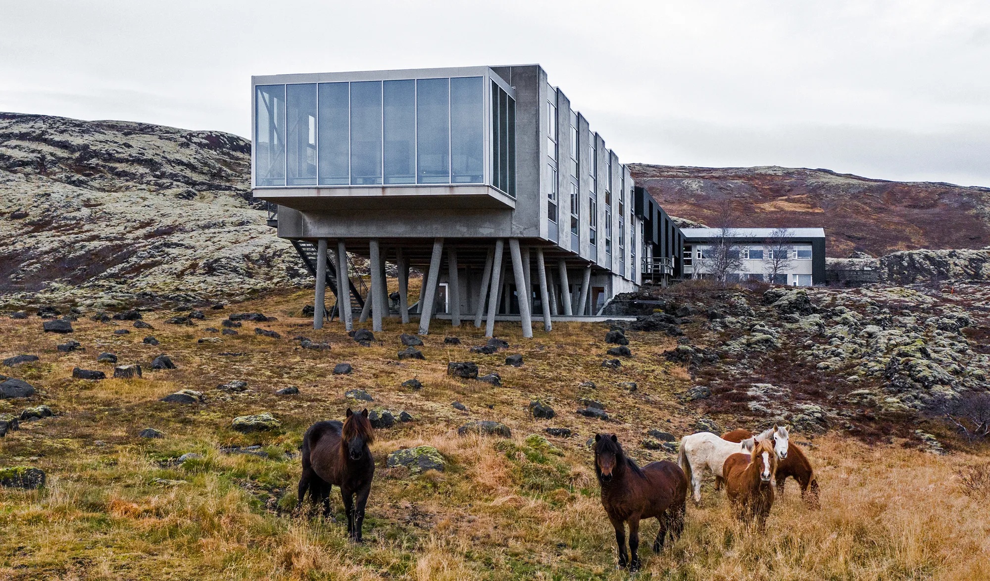 An Icelandic hotel immersed in raw natural landscapes with wild horses boasts brutalist interiors mixing exposed cement, iron, and glass surfaces with western-style design accents.
