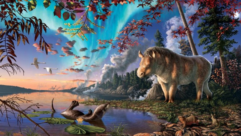 Artist&#039;s impression of a newfound extinct rhino species in its habitat. We see a hornless rhino starting by a river and a seal floating in the water.