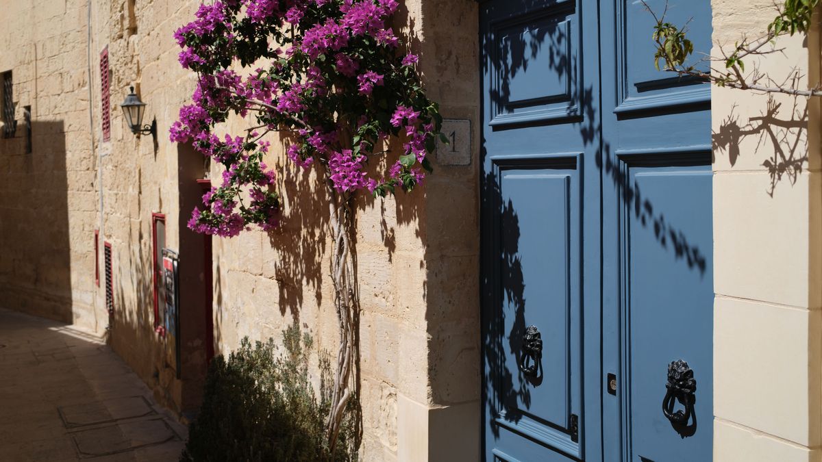 Fujifilm X100VI image gallery: ornate blue door alongside pink hanging flowers down an old alleyway in Valetta, Malta