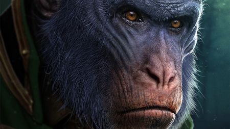 Wicked concept art; a painting of a monkey's face