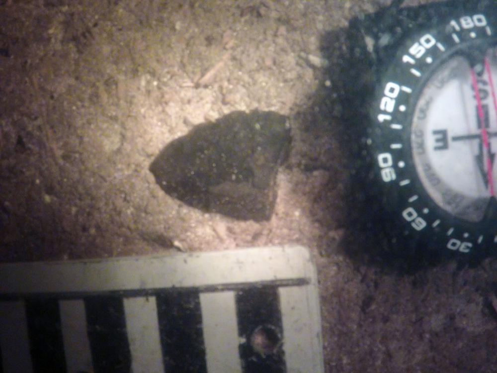 Biface close-up
