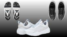 Under Armour Project Rock blood sweat respect 5 gym shoe