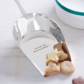 Not On The High Street Personalised Silver Plated Pet Food Scoop