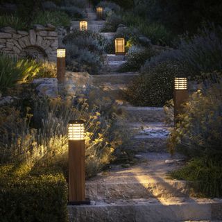 stone pathway with green border of plants and garden lighting