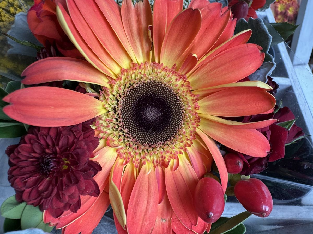 Apple iPhone 15 Pro Max camera sample.