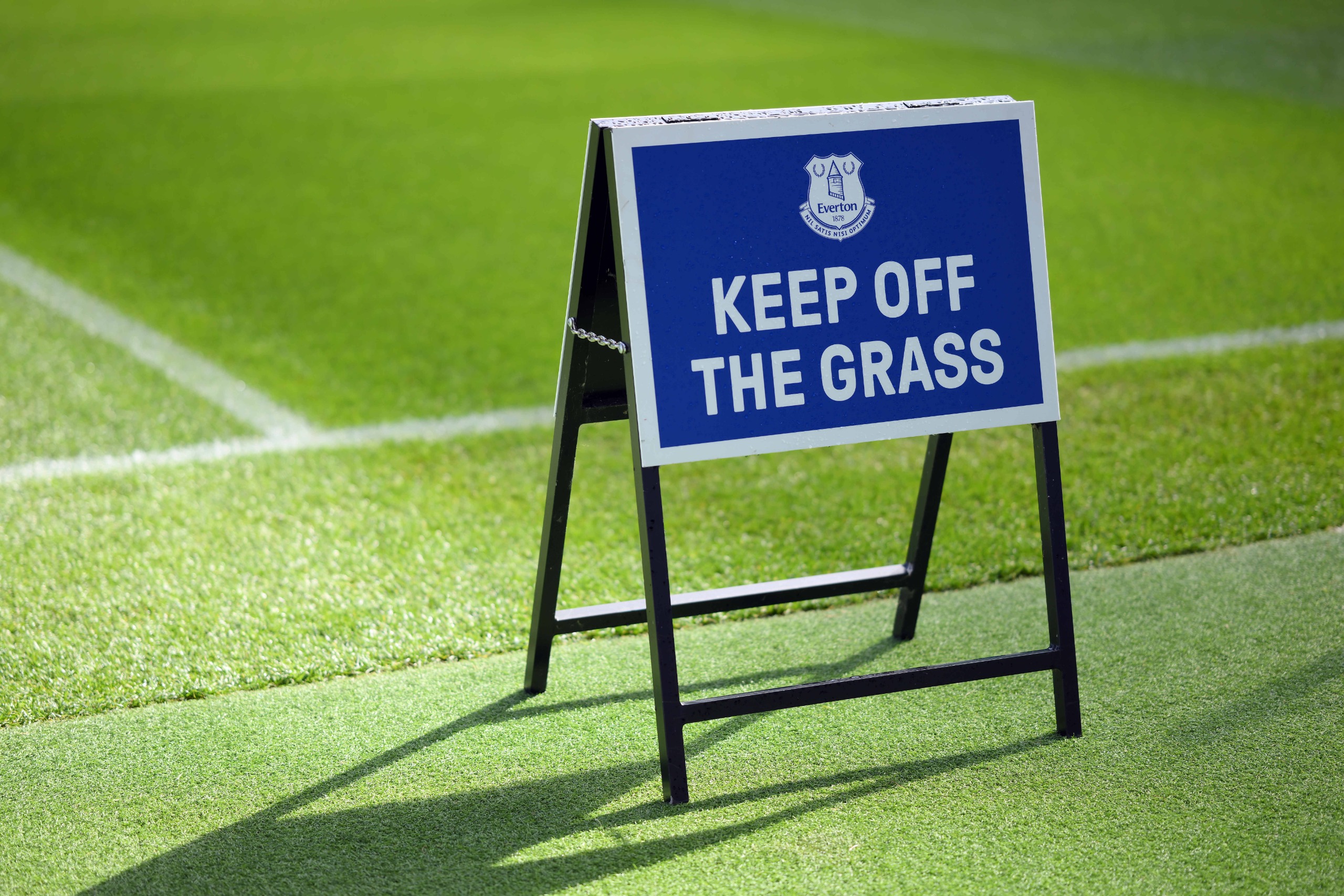 Everton released a statement confirming owners The Friedkin Group (TFG) are looking to sell the Toffees