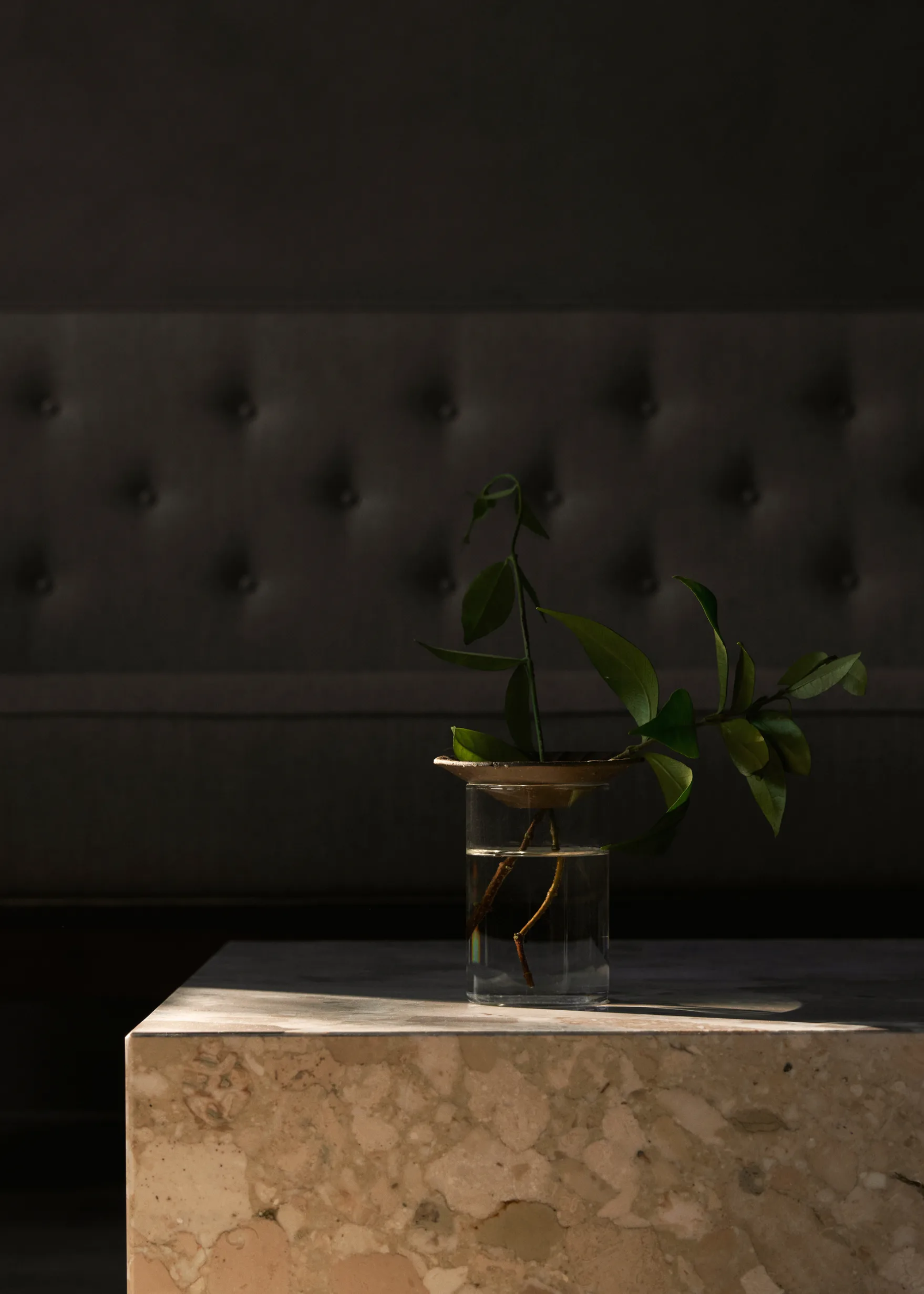 A propagation vase from Nordic Nest on a marble coffee table