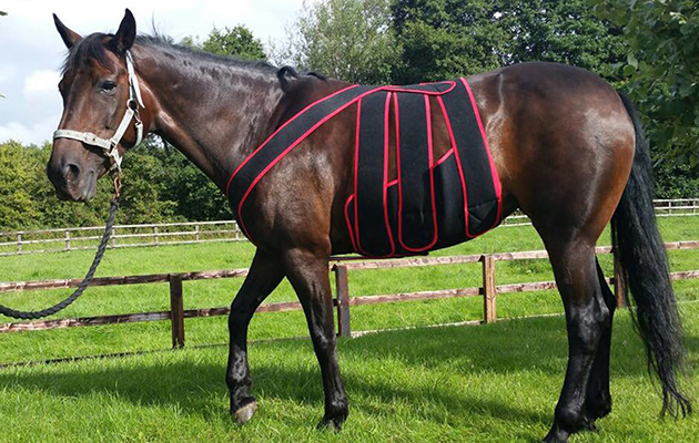 colic support band post operation bandaging