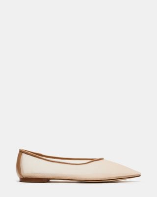 Idaline Natural Pointed Toe Ballet Flat | Women's Flats – Steve Madden