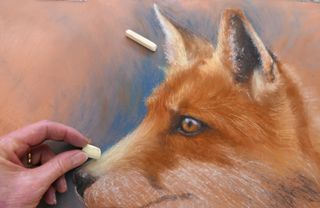 how to draw a fox - image of a fox in pastels