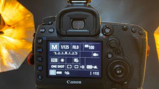 Studio flash settings on back of Canon DSLR