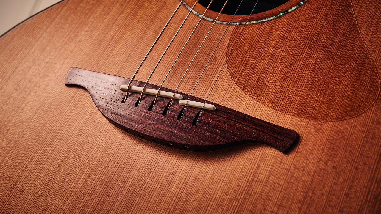 The Lowden F-50C is a $10,000-plus acoustic with a blackwood top and a build that would make your drool.
