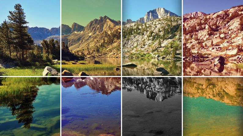 Svg Mist Filter How to go beyond the basics with SVG filters | Creative Bloq
