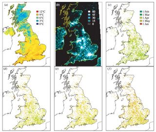 Maps showing (a) average spring temperatures in the UK in 2011, (b) satellite-derived nighttime light pollution that same year, and the locations of budburst observations in four species: (c) sycamore, (d) beech, (e) oak and (f) ash.