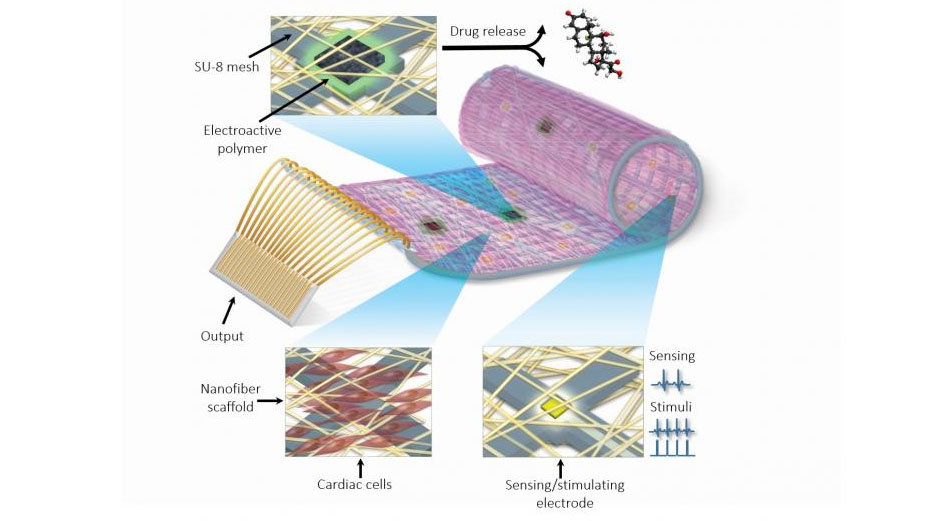 Bionic Heart