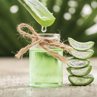 Aloe vera essential oil on tropical leaves background