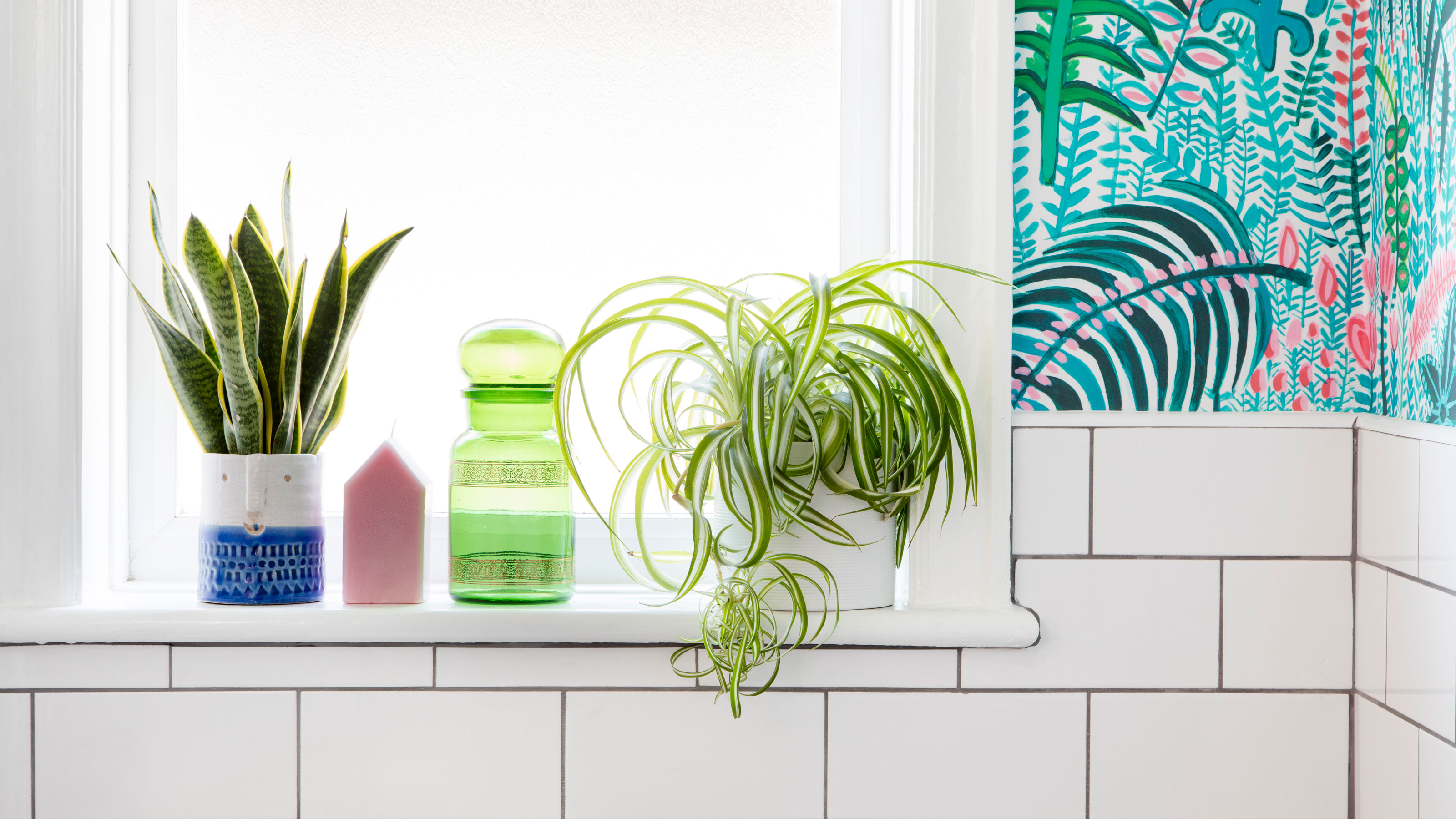 White tiles with patterned wallpaper and a pot with a spider plant on the windowsill