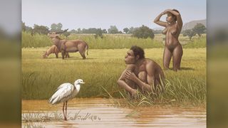 The newly named species Homo bodoensis, a human ancestor, lived in Africa during the Middle Pleistocene.