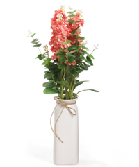 ALEX &amp; ZOE 26in Delphinium In Vase for $24.99, at Marshalls