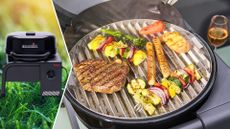 The Char-Broil Electric BBQ Patio Bistro Cube E