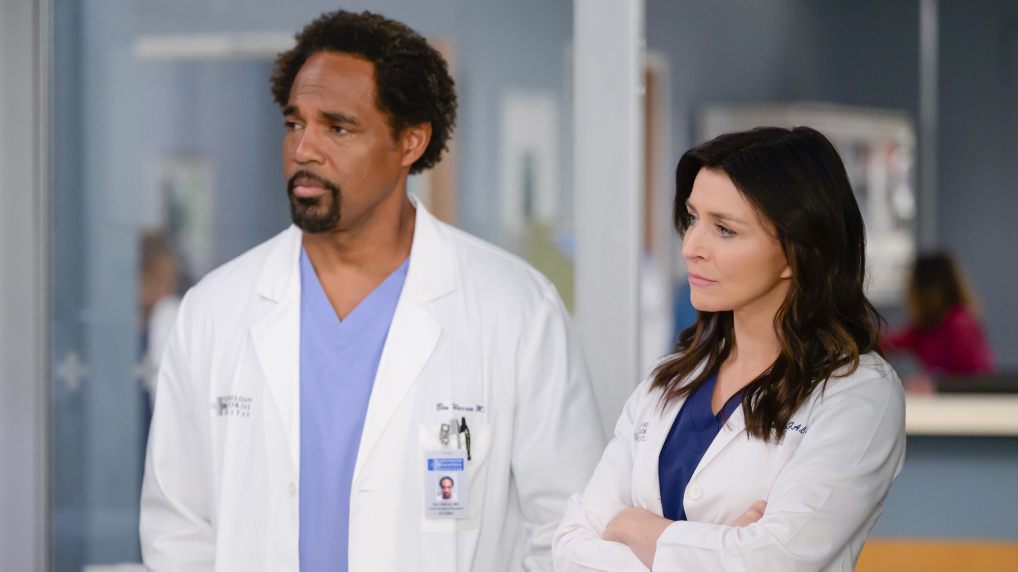 Grey's is heading to Texas.