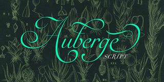 Auberge Script font