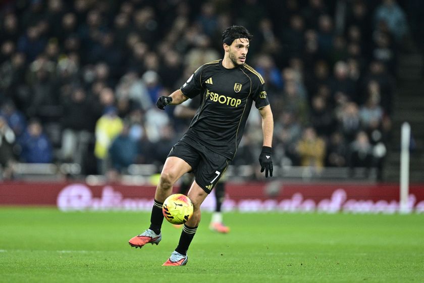 Fulham striker Raul Jimenez