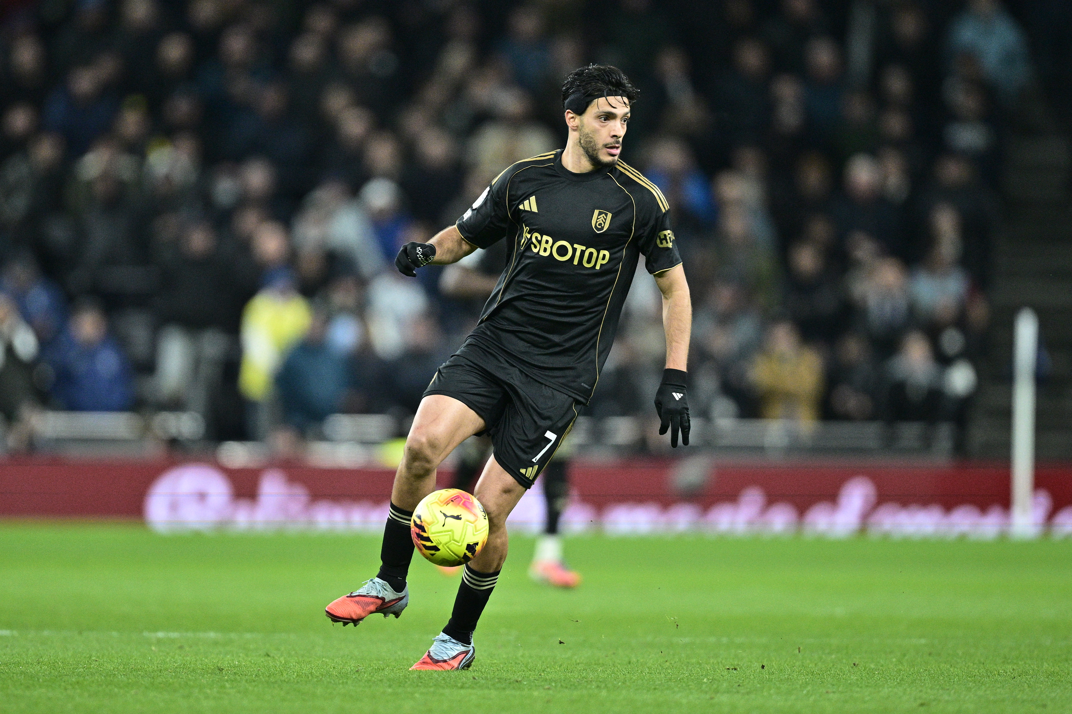 Fulham striker Raul Jimenez