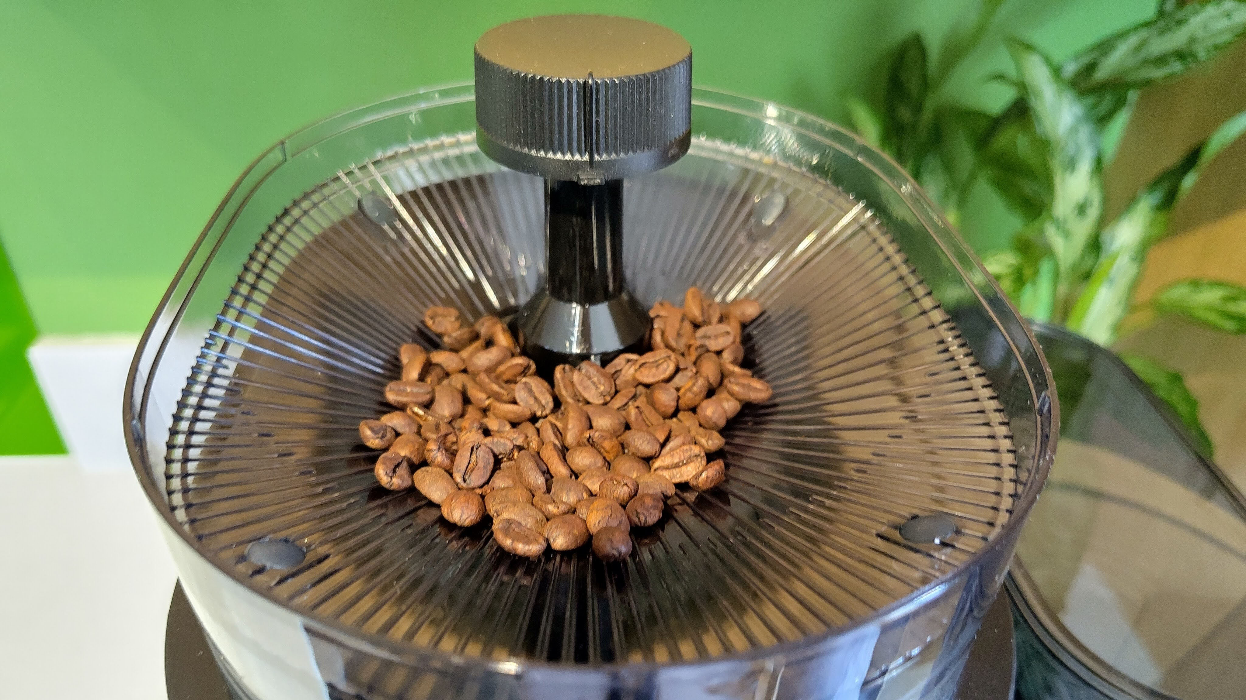 Coffee beans in Melitta AromaFresh Therm Pro coffee maker hopper